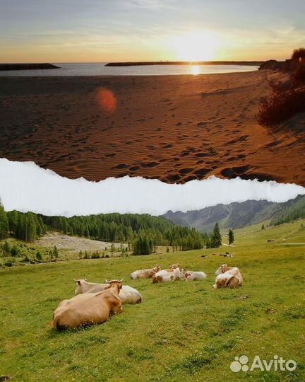 Samsung st 66 в идеальном состоянии