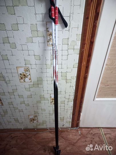 Лыжные палки