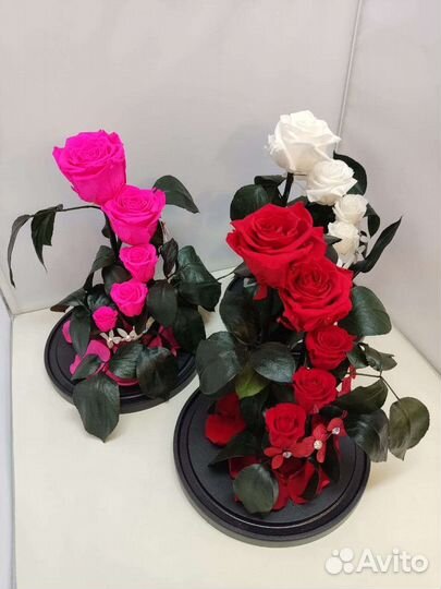 Подарок на новый год / Цветы