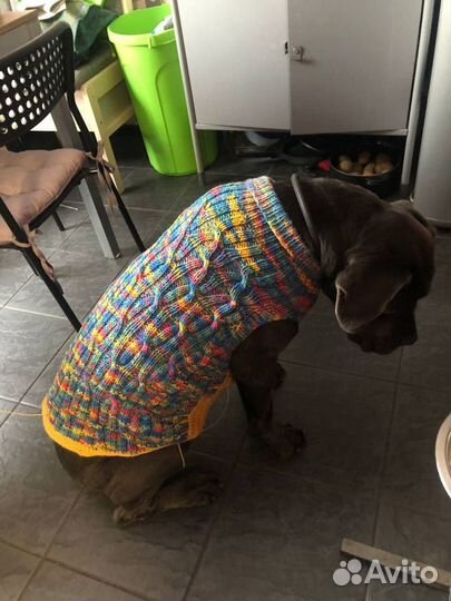 Вязанные свитера на собак разных размеров