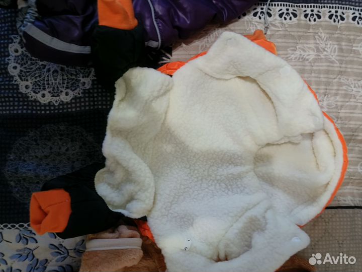 Вещи для собачки, кошки