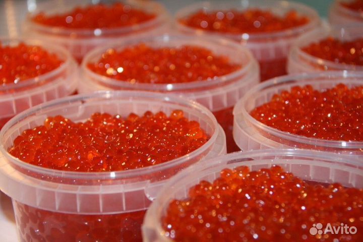 Красная икра Горбуши