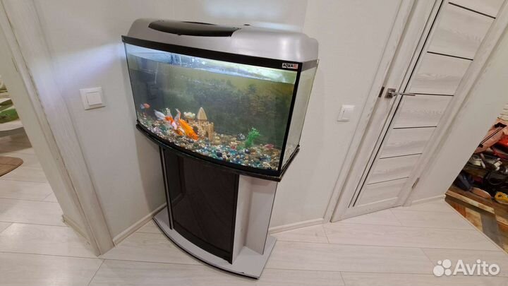Аквариум 120 литров в полном комплекте