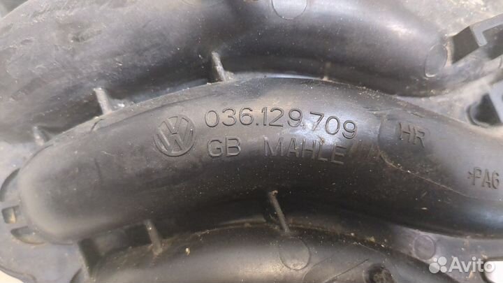 Коллектор впускной Seat Ibiza 4, 2009