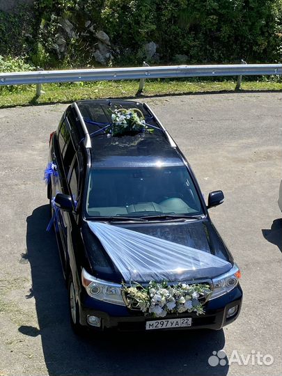 Аренда авто трансфер