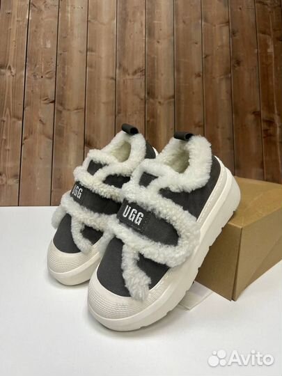 Кеды Ugg С Мехом Размеры 36-40