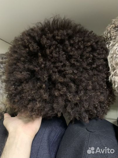 Папахи Кавказские, Папахи Хабиба