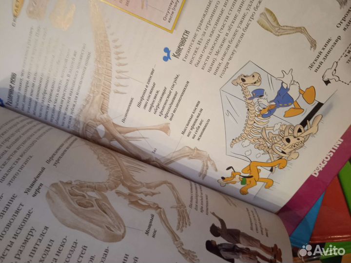 Энциклопедия Дисней