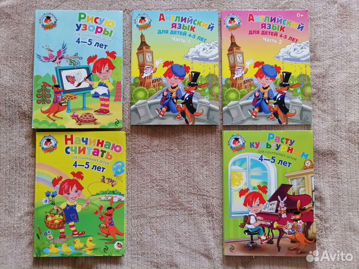 Ломоносовская школа, Петерсон Игралочка