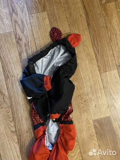 Ветровка для собаки