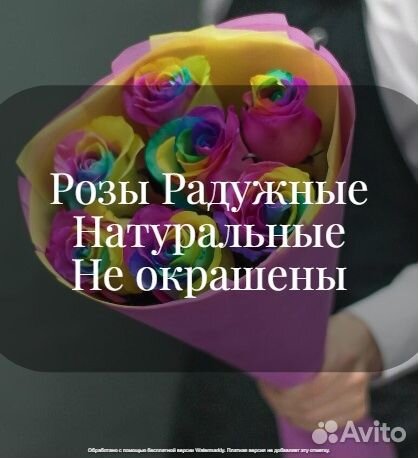 Радужные Розы Доставка 25 51 101
