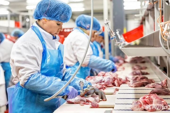 Разнорабочий на птицефабрику вахта