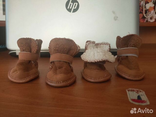Ботинки для собак