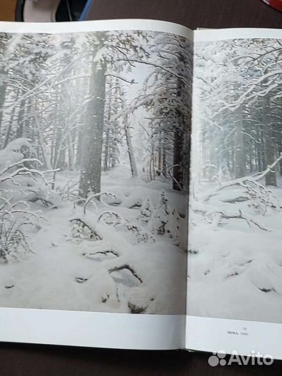 Иван Шишкин