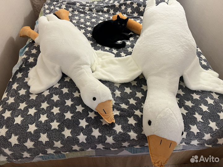 Гусь обнимусь размеры разные новые