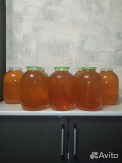 Мед (подсолнечник) 2023