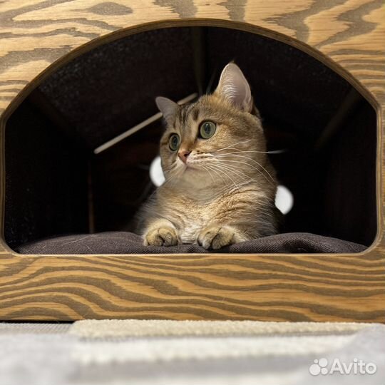 Домик для кошек