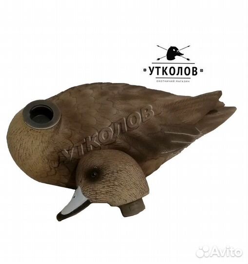 Чучело утки разборное 