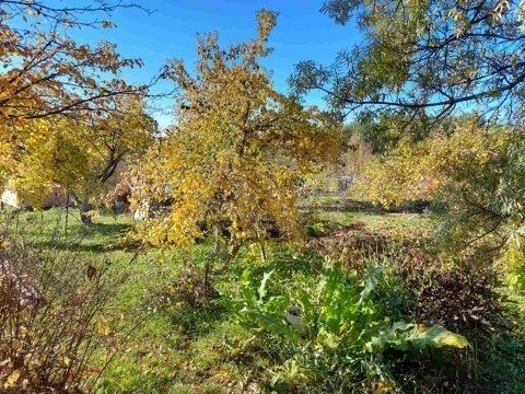 Дача 28 м² на участке 16 сот.