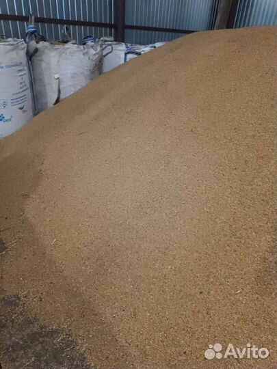 Пшеница и солома