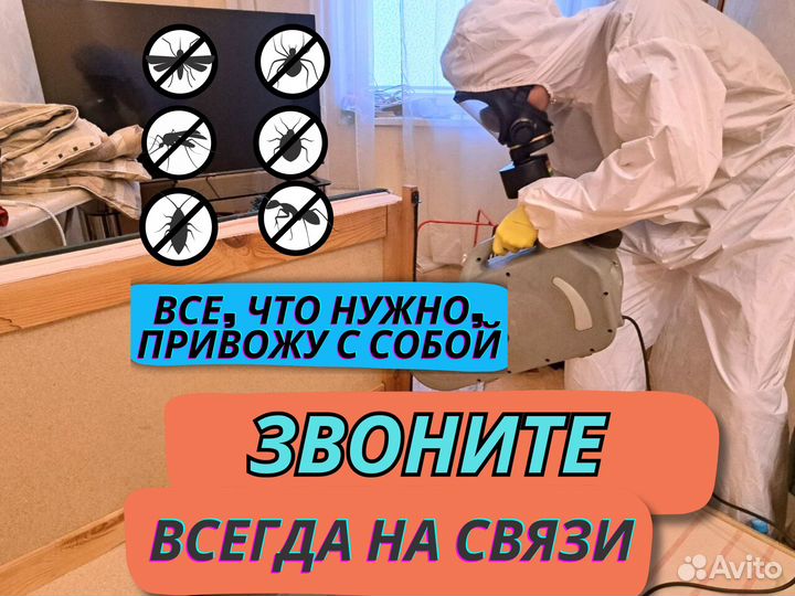 Уничтожение плесени, тараканов, блох. Дезинфекция