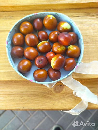 Продаю саженцы Зизифуса или Унаби