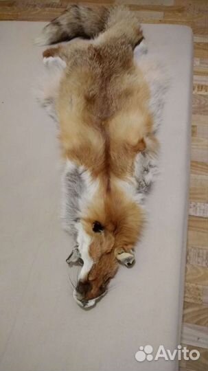 Воротник лисий