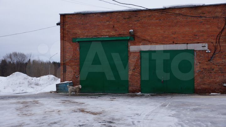 Помещение свободного назначения, 600 м²