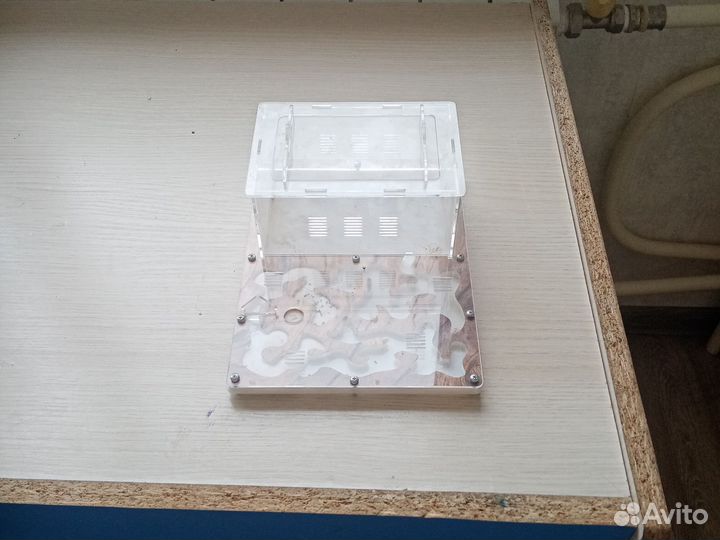 Формикарий