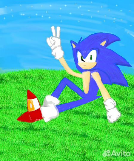 Арт на заказ по фд Соника