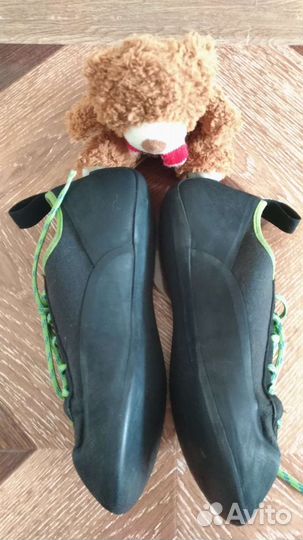 Скальные туфли