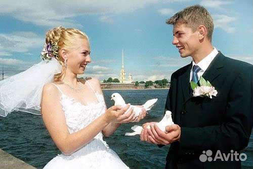 Белые голуби на ваше мероприятие