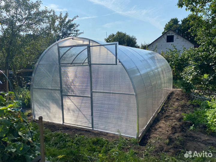 Теплица b-2389