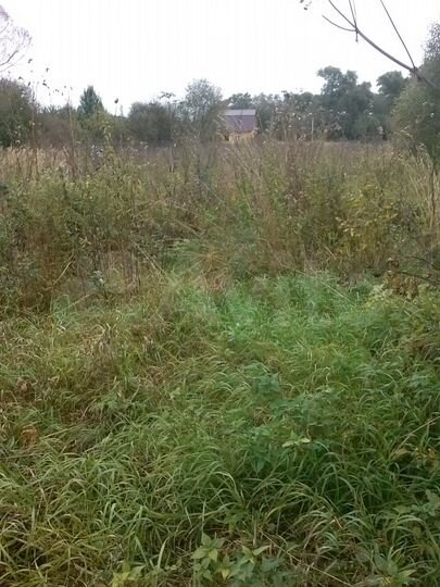 Участок 18 сот. (СНТ, ДНП)