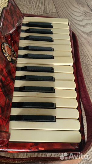 Аккордеон