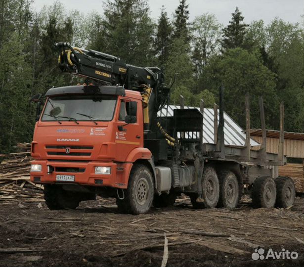 Инвестиции в лесную промышленность