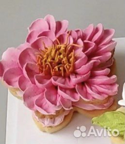 Зефирные десерты, пирожные, зефирные торты