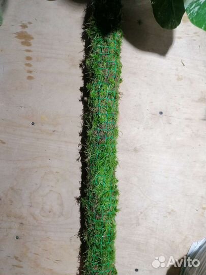 Тотем опора для растений