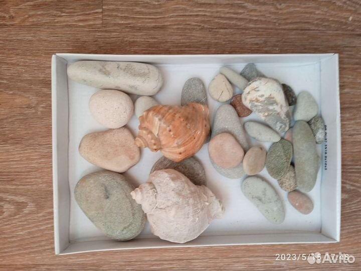 Морские камни, ракушки