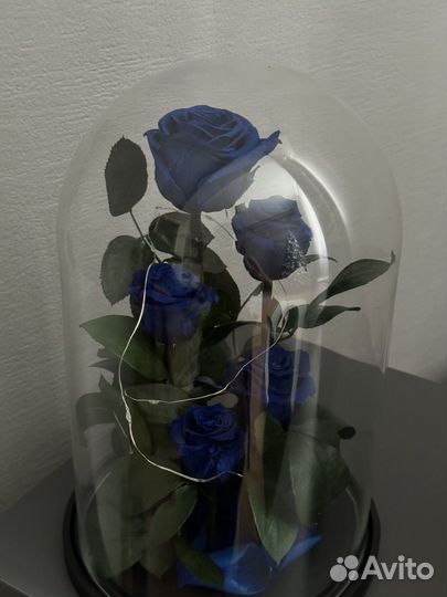 Вечная роза в колбе синяя 30 см с подсветкой