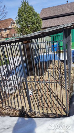 Вольер для собак бу уличный