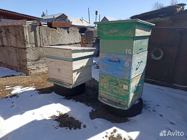 Улей для пчел бу