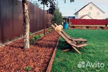 Кора лиственницы, кора сосны, спилы, шишки