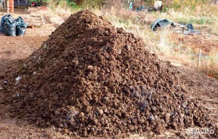 Навоз, перегной. земля, чернозем