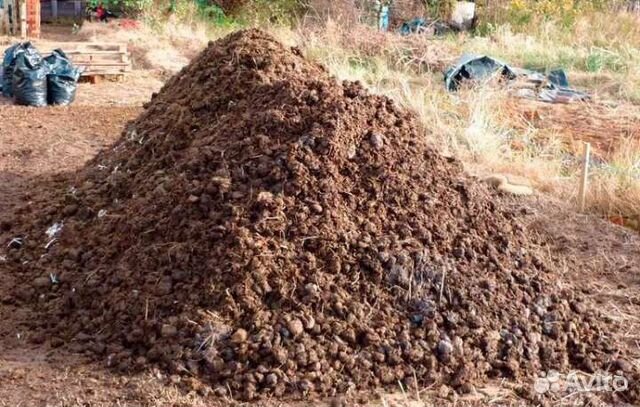 Навоз, перегной. земля, чернозем