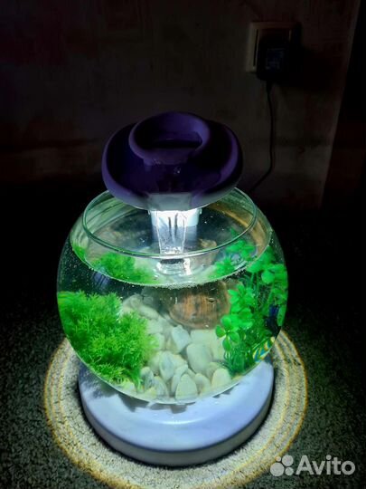 Аквариум tetra cascade globe 6.8 литров