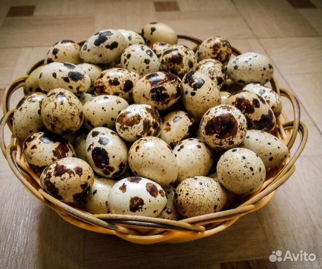 Перепелиные яйца