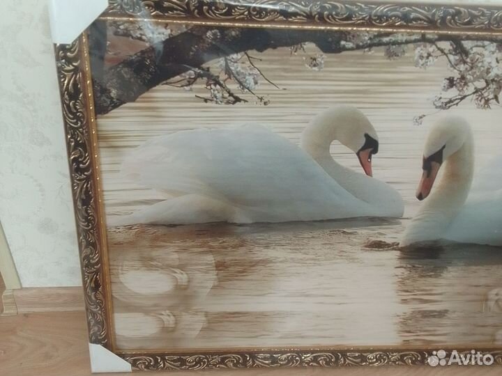 Картина 2 белых лебедя