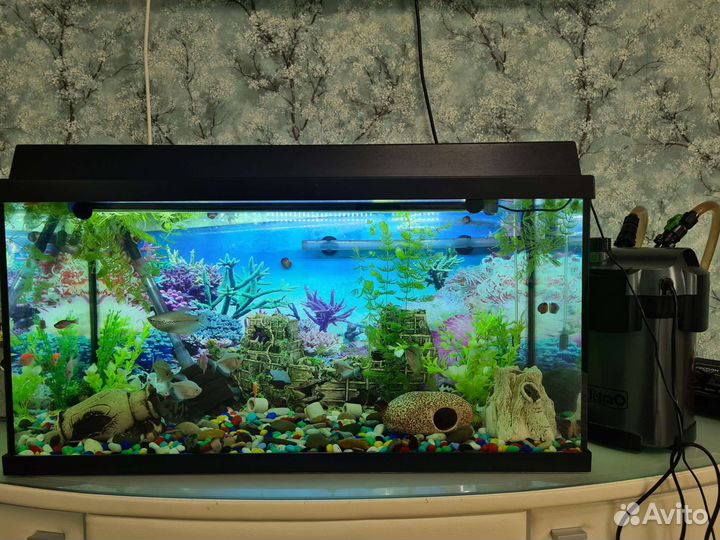 Продам аквариум на 100 л и все оборудование к нему
