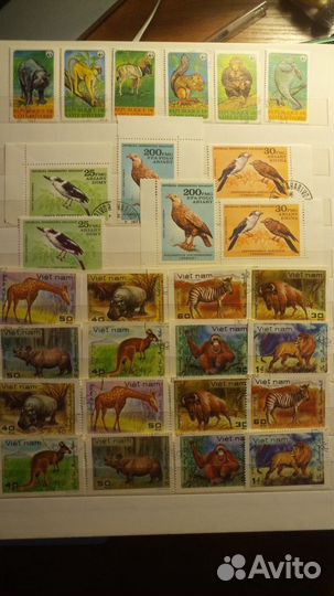 Марки Фауна СССР Зарубежные 1959-1982г